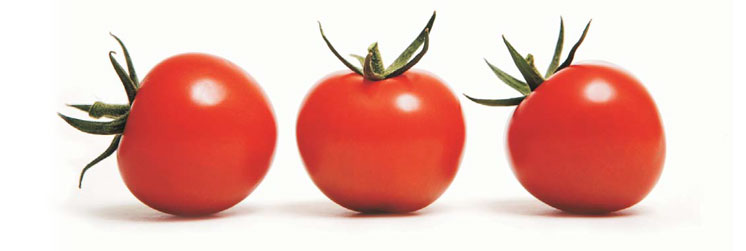 images/coccionpro/tomates.jpg